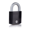 Picture of Maximum Security Padlock